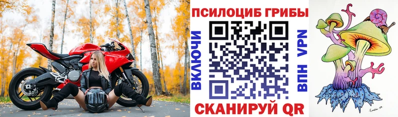 Псилоцибиновые грибы GOLDEN TEACHER  blacksprut зеркало  Кемь 